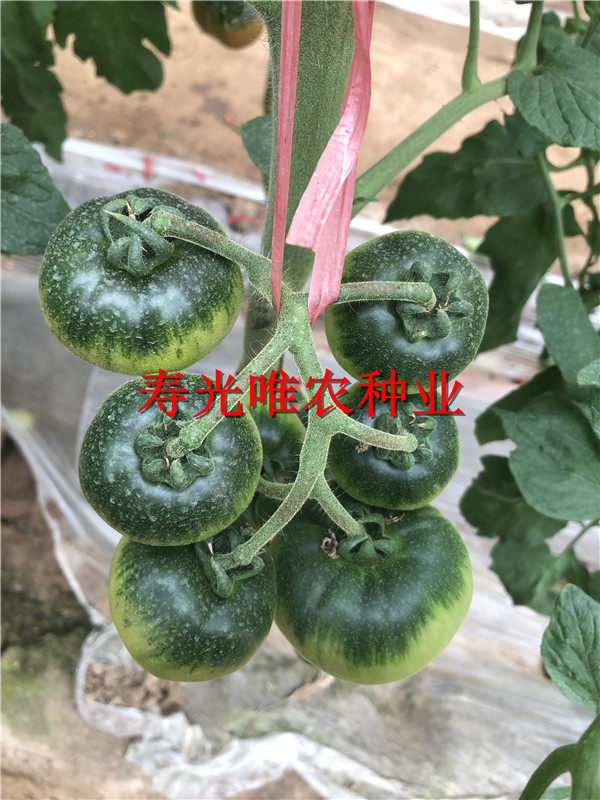 2019-01-09 我的手機圖片IMG_1588.jpg