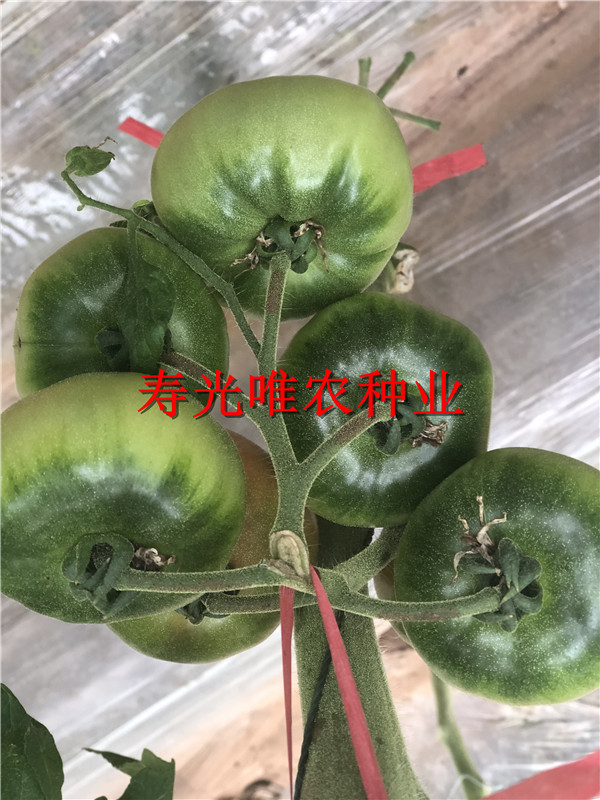 2019-01-09 我的手機圖片IMG_1583.jpg