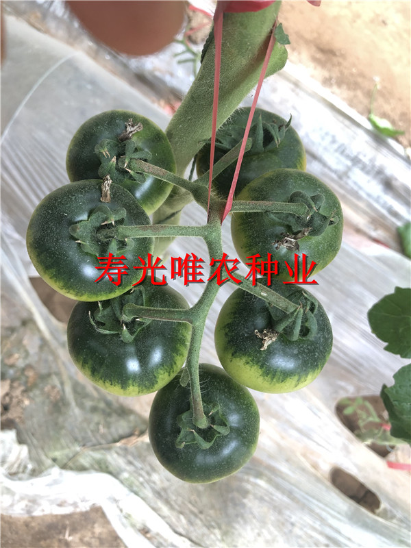 2019-01-09 我的手機圖片IMG_1589.jpg